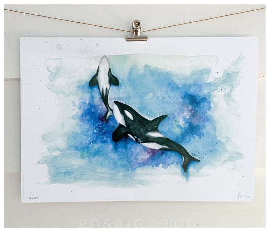 Orca